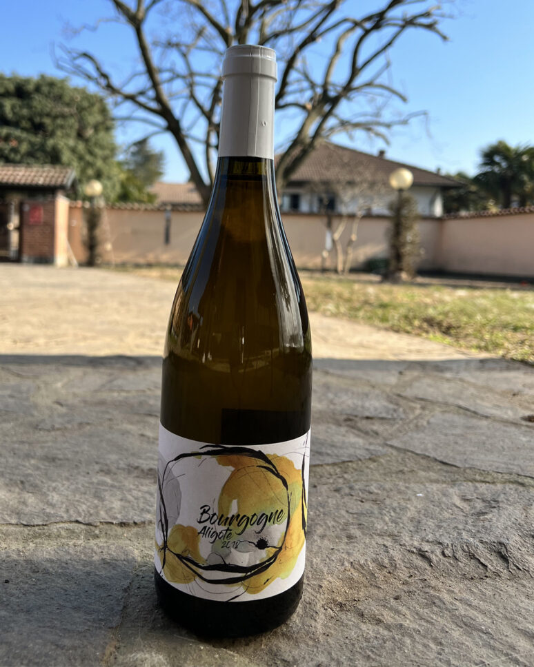 Bourgogne Alogite 2018