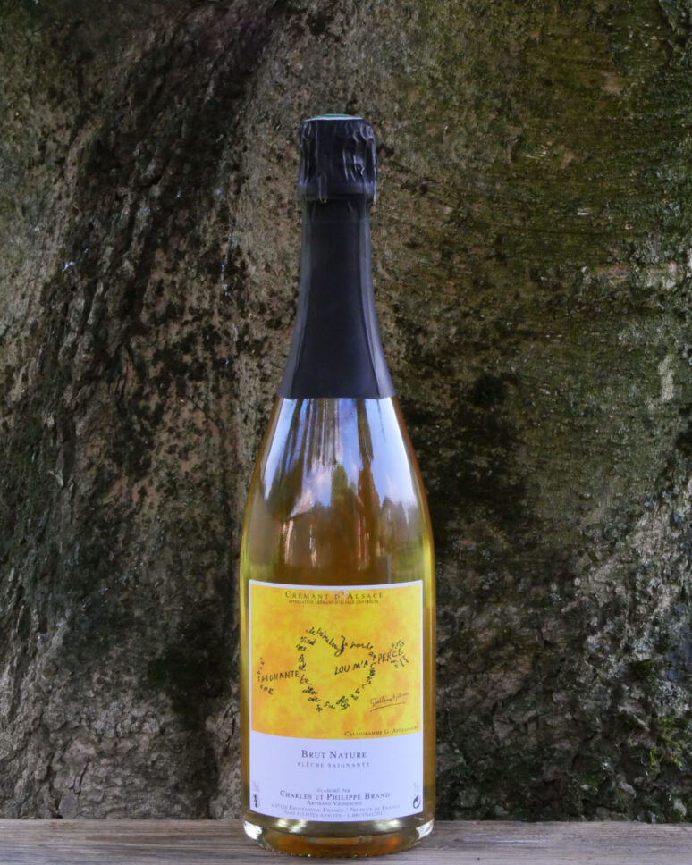 Fléche Saignante 2017