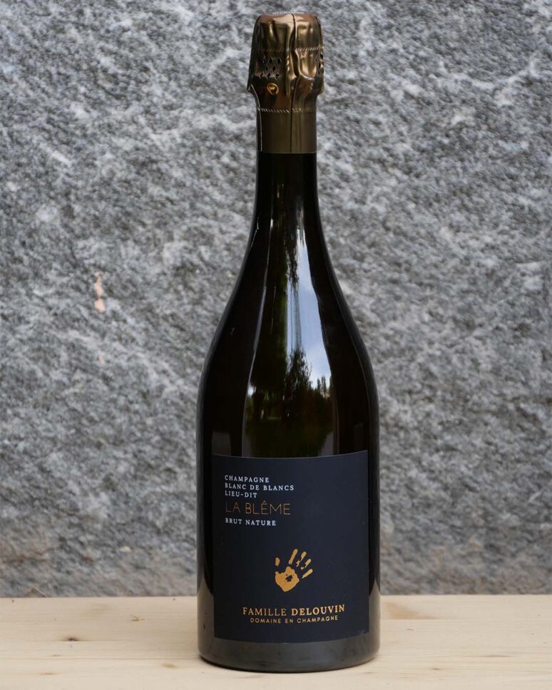 DELOUVIN-NOWACK-FAMILLE-DELOUVIN-LA-BLEME