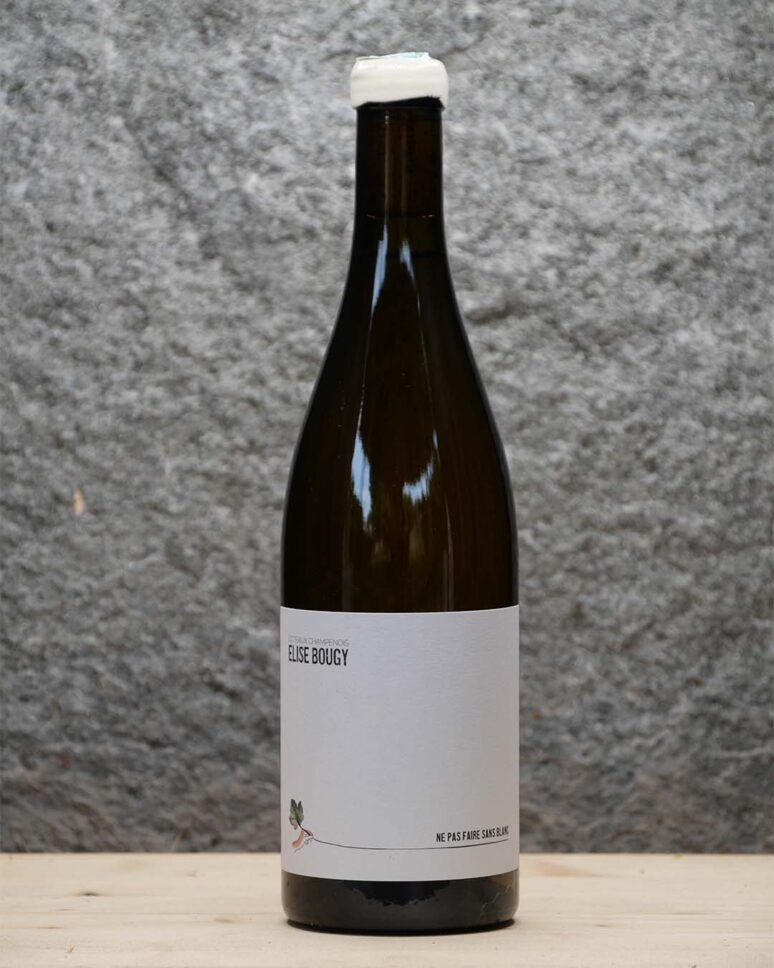 ELISE-BOUGY-NE-PAS-FAIRE-SANS-BLANC-2019