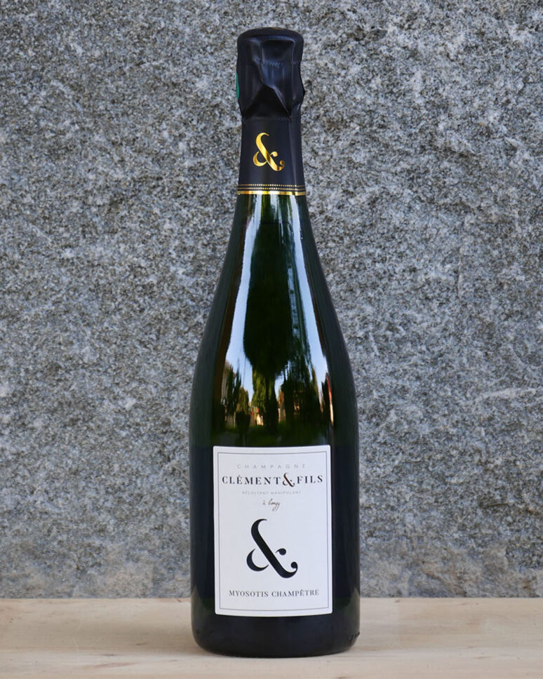 CLEMENT-FILS-MYSOTIS-CHAMPETRE
